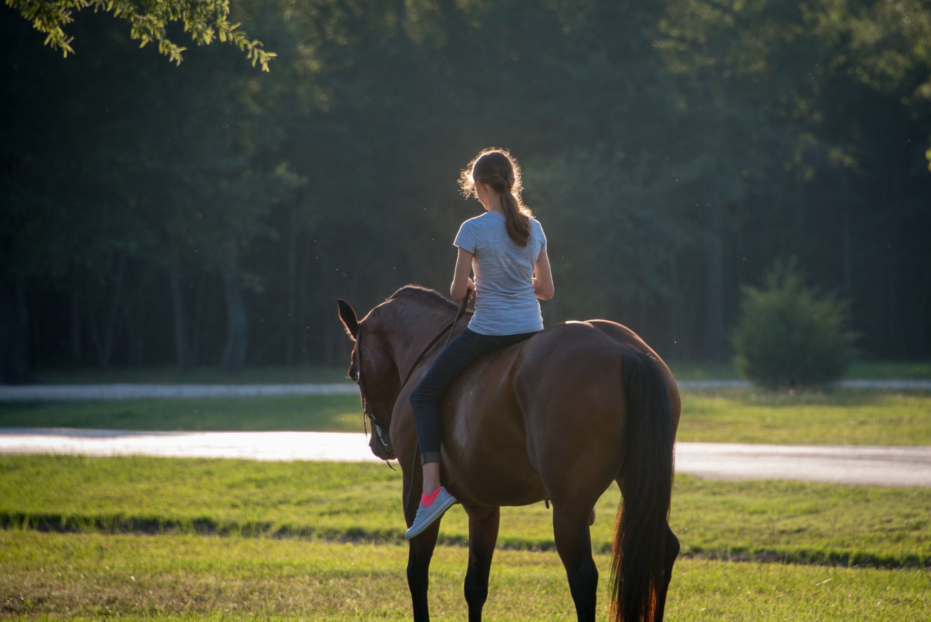 Rider on horseback with room to roam at White Oak Trails
